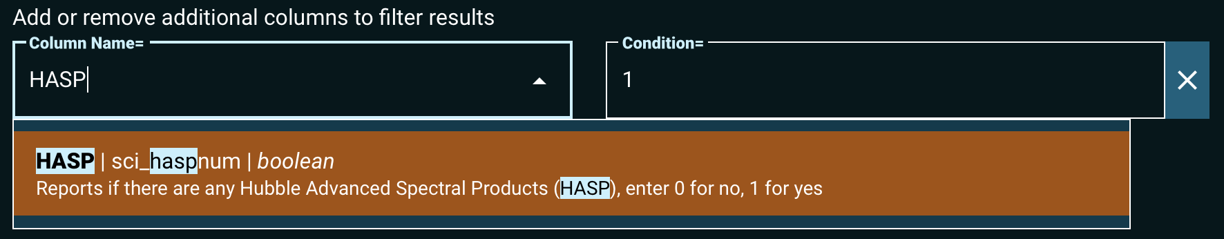 an additional condition for selecting HASP data, with the include value ('1') filled in